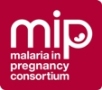 Malaria in Pregnancy